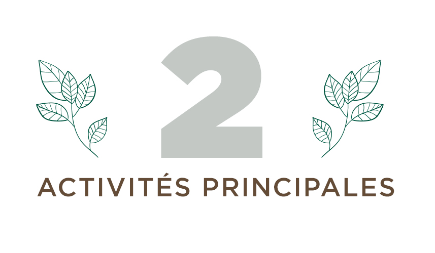 2 activités principales