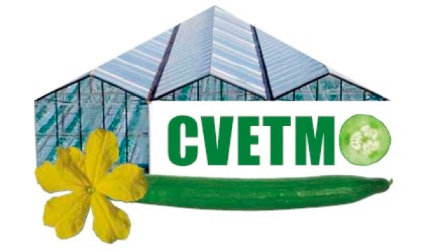 logo cvetm