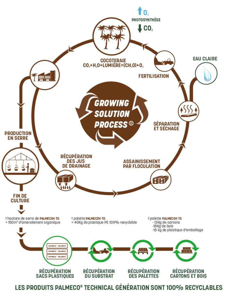 schéma du concept : growing solution process